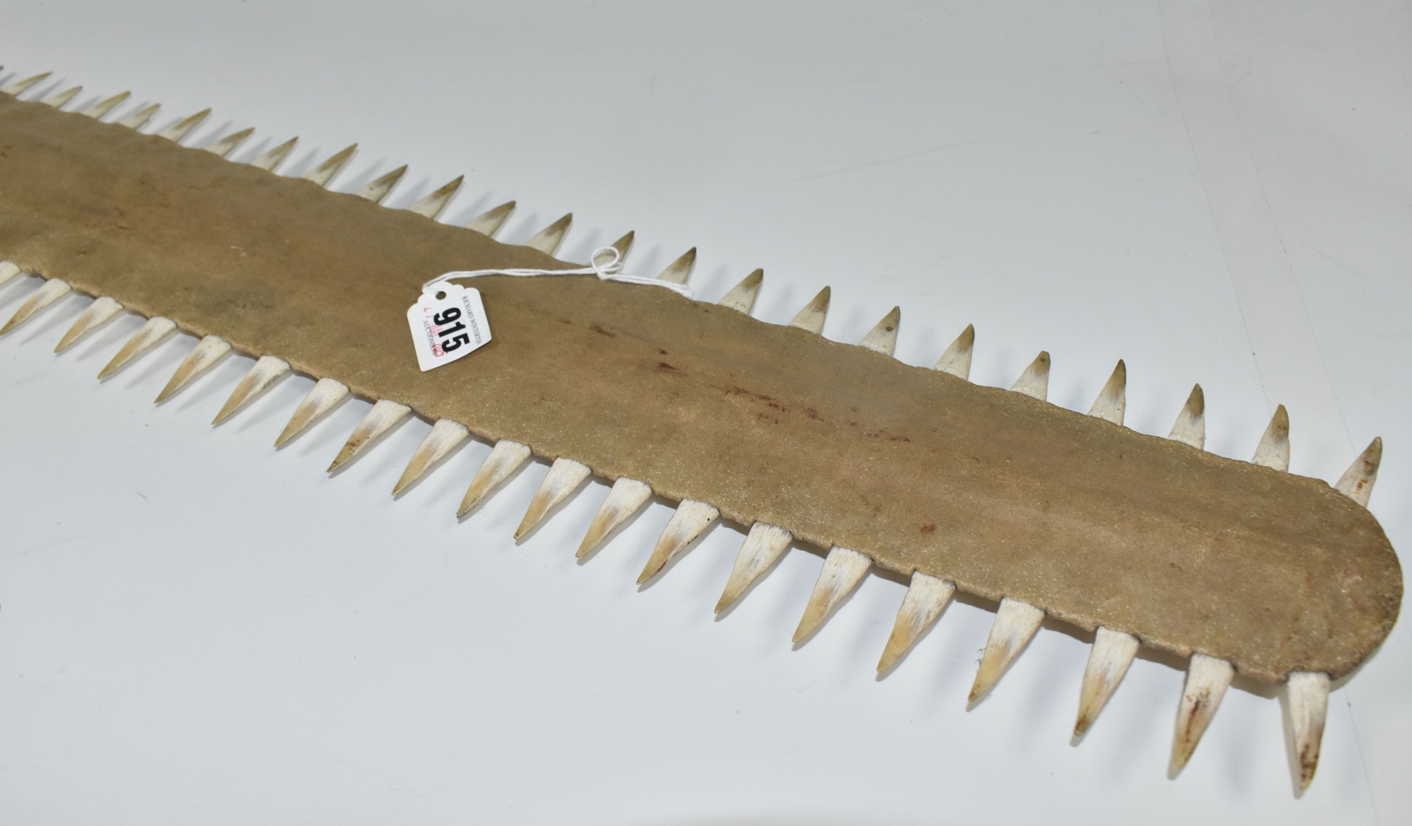 Unworked Sawfish Rostrum Sold £750