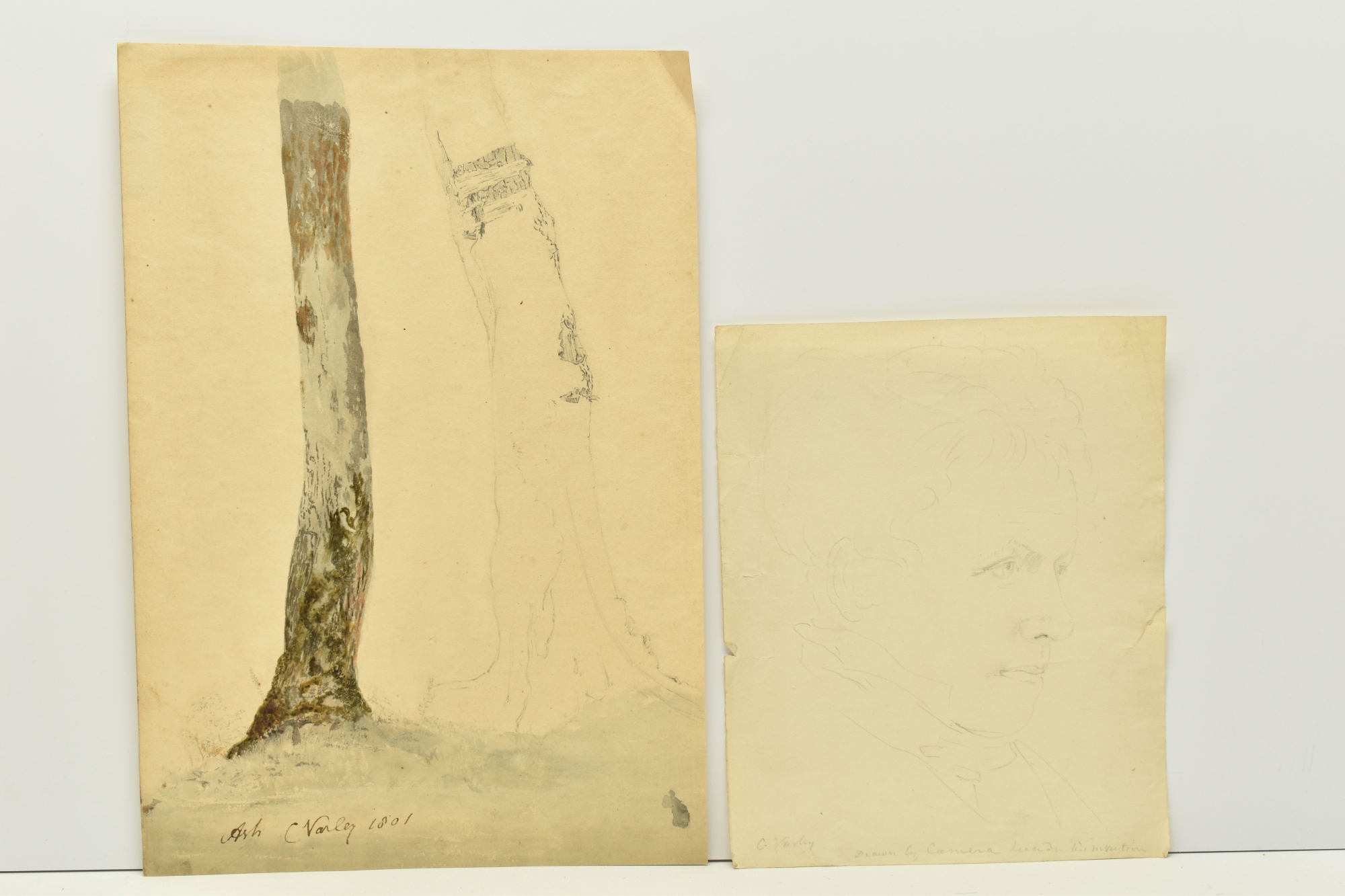 Cornelius Varley Botanical Pencil Sketch And Portrait Sold £4,600