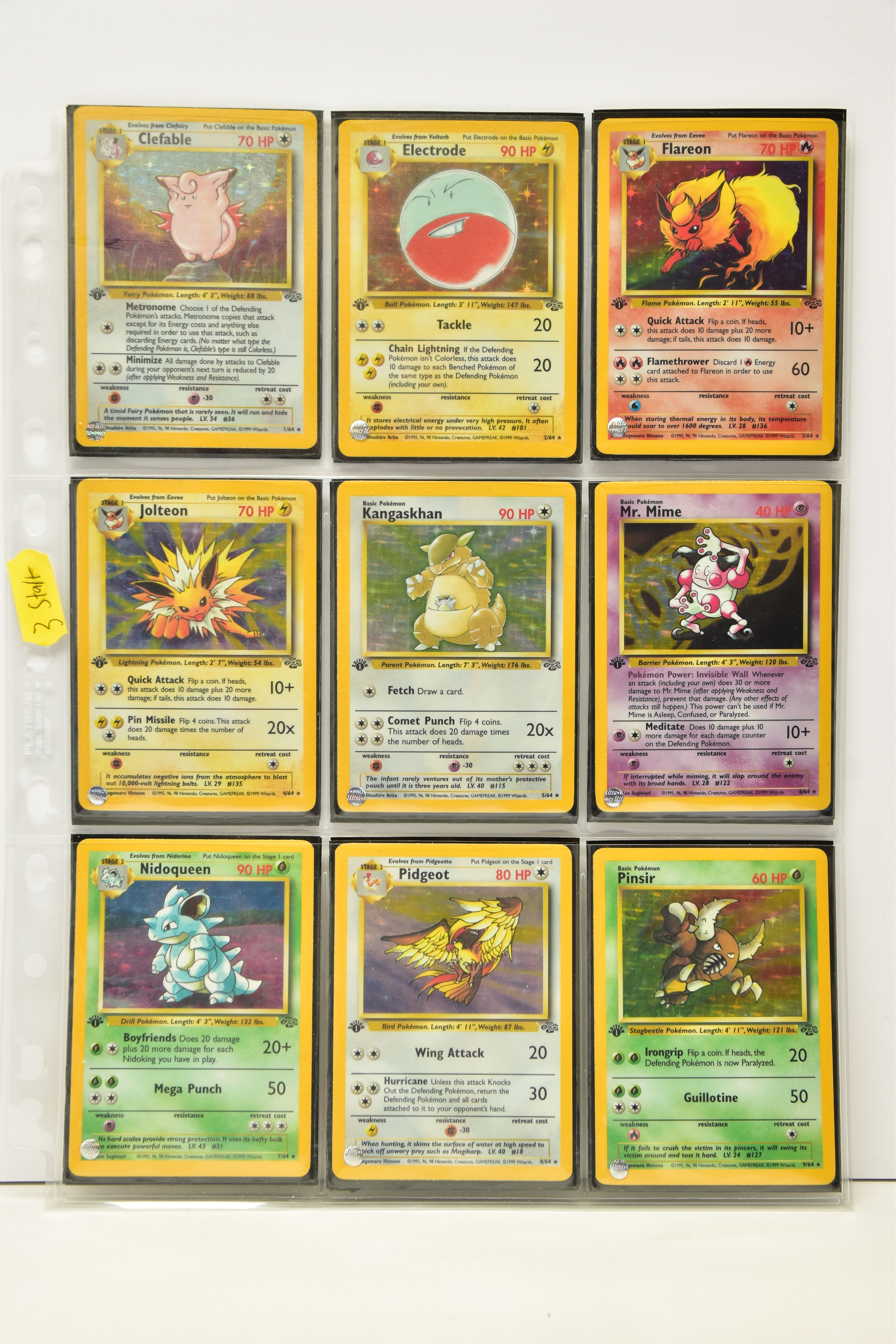 Complete Pokemon Jungle First Edition