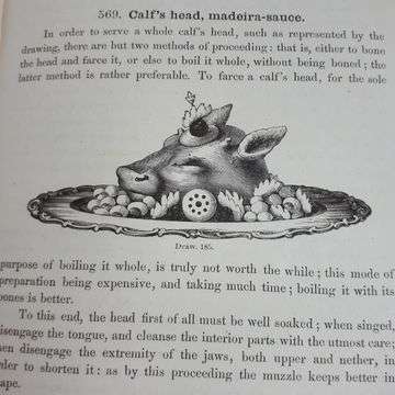 Dubois’ recipe for calf’s head with madeira sauce.