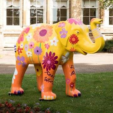 St Giles Hospice will display a herd of more than 60 elephant sculptures across Lichfield, Tamworth and Sutton Coldfield.